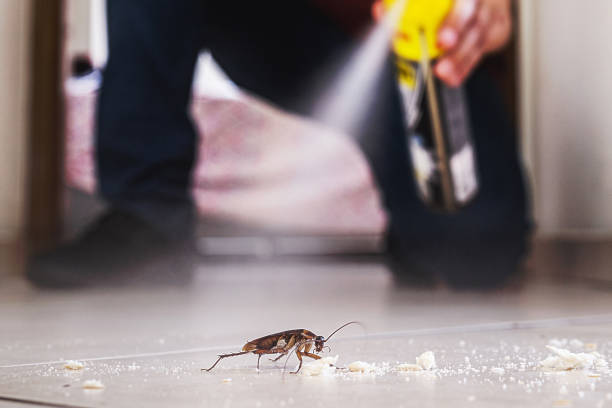 Pest Prevention Services in Glen Ridge, NJ